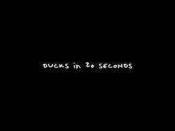 ducks_in_20_seconds.JPG